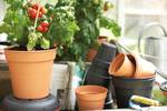 green basics kweekpot 17cm mild terra